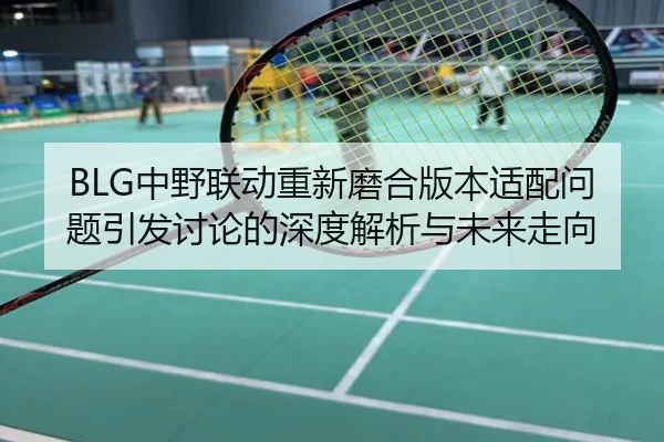 BLG中野联动重新磨合版本适配问题引发讨论的深度解析与未来走向