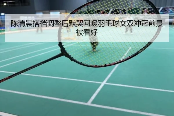 陈清晨搭档调整后默契回暖羽毛球女双冲冠前景被看好